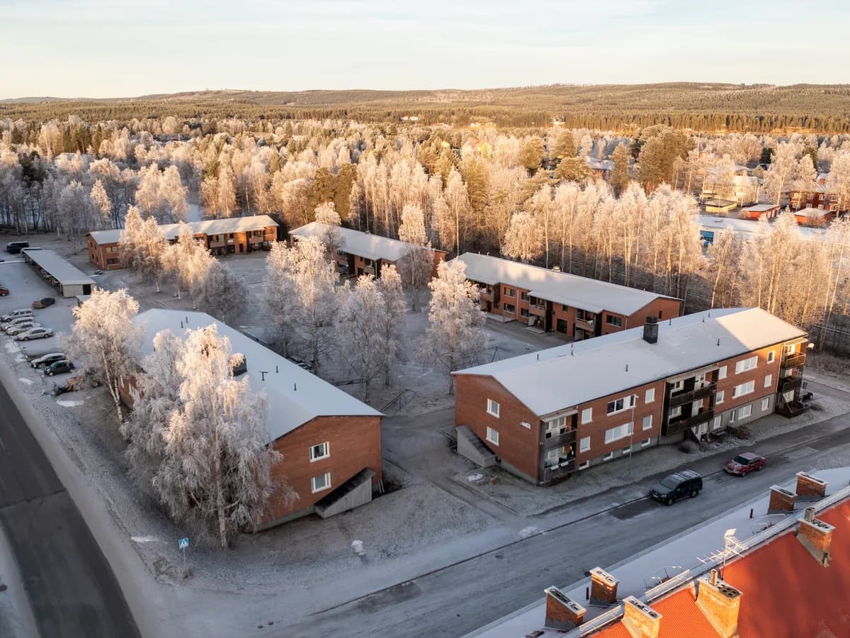 Timmervägen i Lycksele